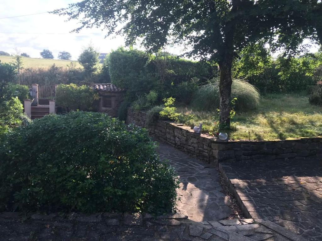 Le Gite De Las Peyros Mirandol-Bourgnounac Buitenkant foto
