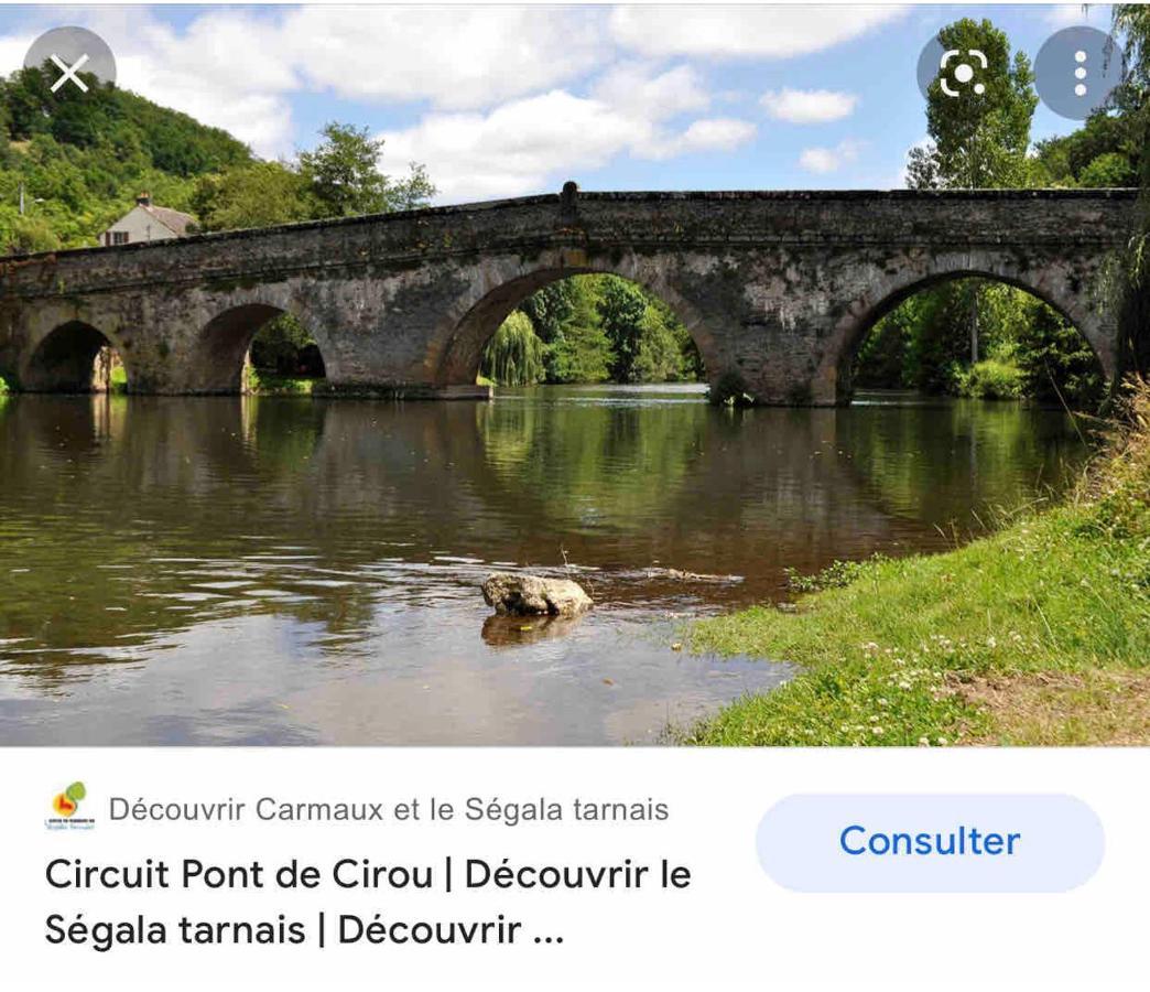 Le Gite De Las Peyros Mirandol-Bourgnounac Buitenkant foto