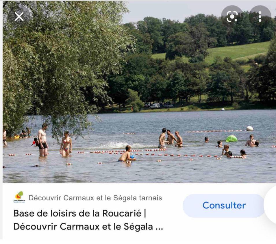 Le Gite De Las Peyros Mirandol-Bourgnounac Buitenkant foto